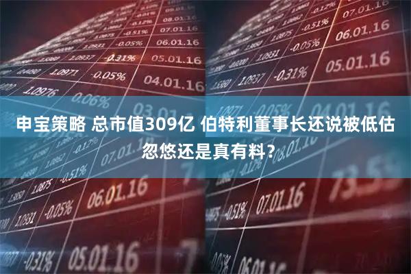 申宝策略 总市值309亿 伯特利董事长还说被低估 忽悠还是真有料？