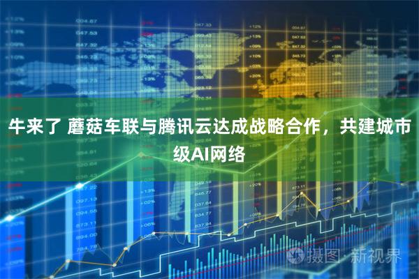 牛来了 蘑菇车联与腾讯云达成战略合作，共建城市级AI网络
