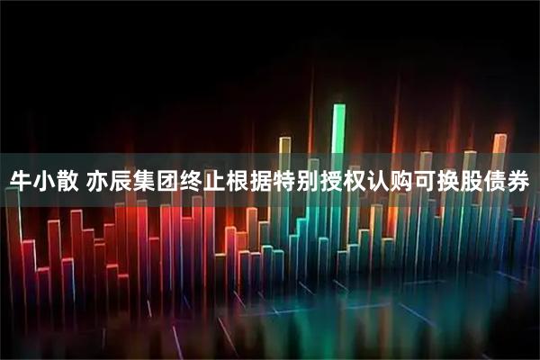 牛小散 亦辰集团终止根据特别授权认购可换股债券