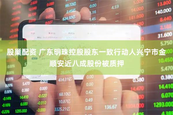 股巢配资 广东明珠控股股东一致行动人兴宁市金顺安近八成股份被质押