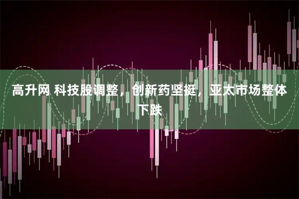 高升网 科技股调整，创新药坚挺，亚太市场整体下跌