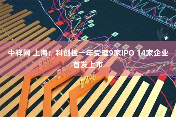 中祥网 上海：科创板一年受理9家IPO 14家企业首发上市